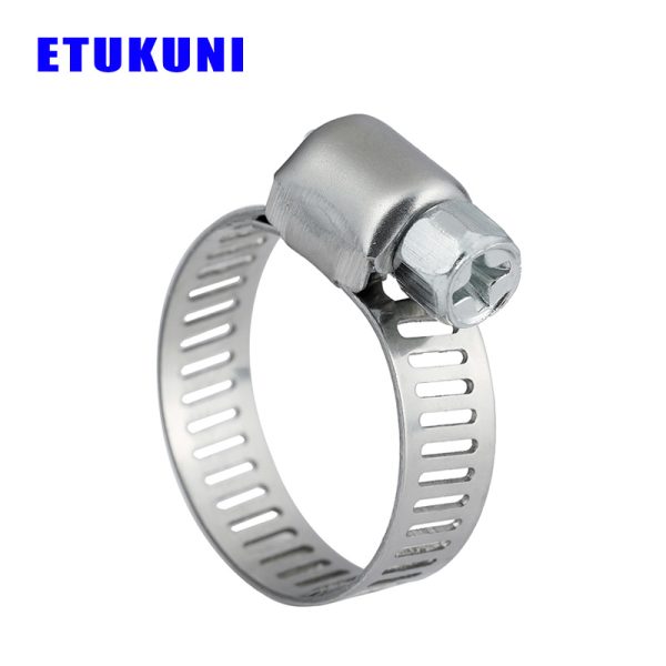 Hose Clamp worm clamps tiny hose clamps hose clamp small small clamps for hoses miniature hose clamps