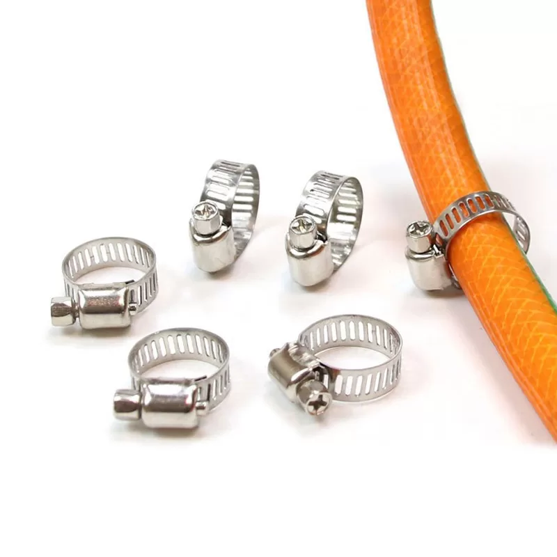 small American-style stainless steel clamps